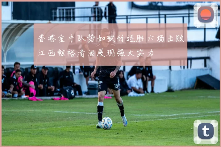 香港金牛队势如破竹连胜六场击败江西鲸裕清酒展现强大实力